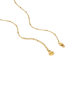 Padova Chain